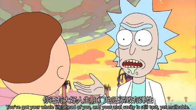皮蒂的最新温馨日常故事更新消息