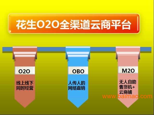 澳门正版金牛版网站,创新策略执行_线上版WGJ9.16