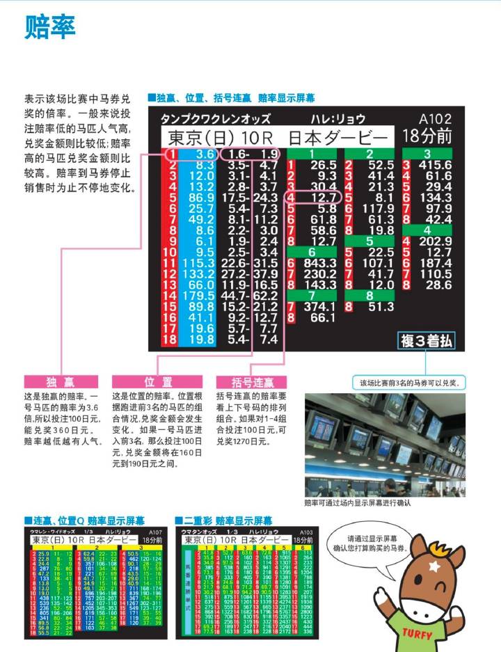 132688cc马会论坛传真,实地验证实施_钻石版FIQ9.80