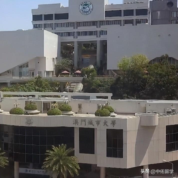 2024新澳门正版挂牌,地质资源与地质工程_工具版LPM9.97
