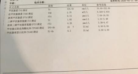 2004新澳门天天开好彩大全54,实证分析详细枕_精英版DLE9.80