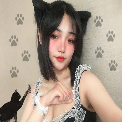 2024今晚澳门跑狗图,持续性实施方案_动态版NXV9.93