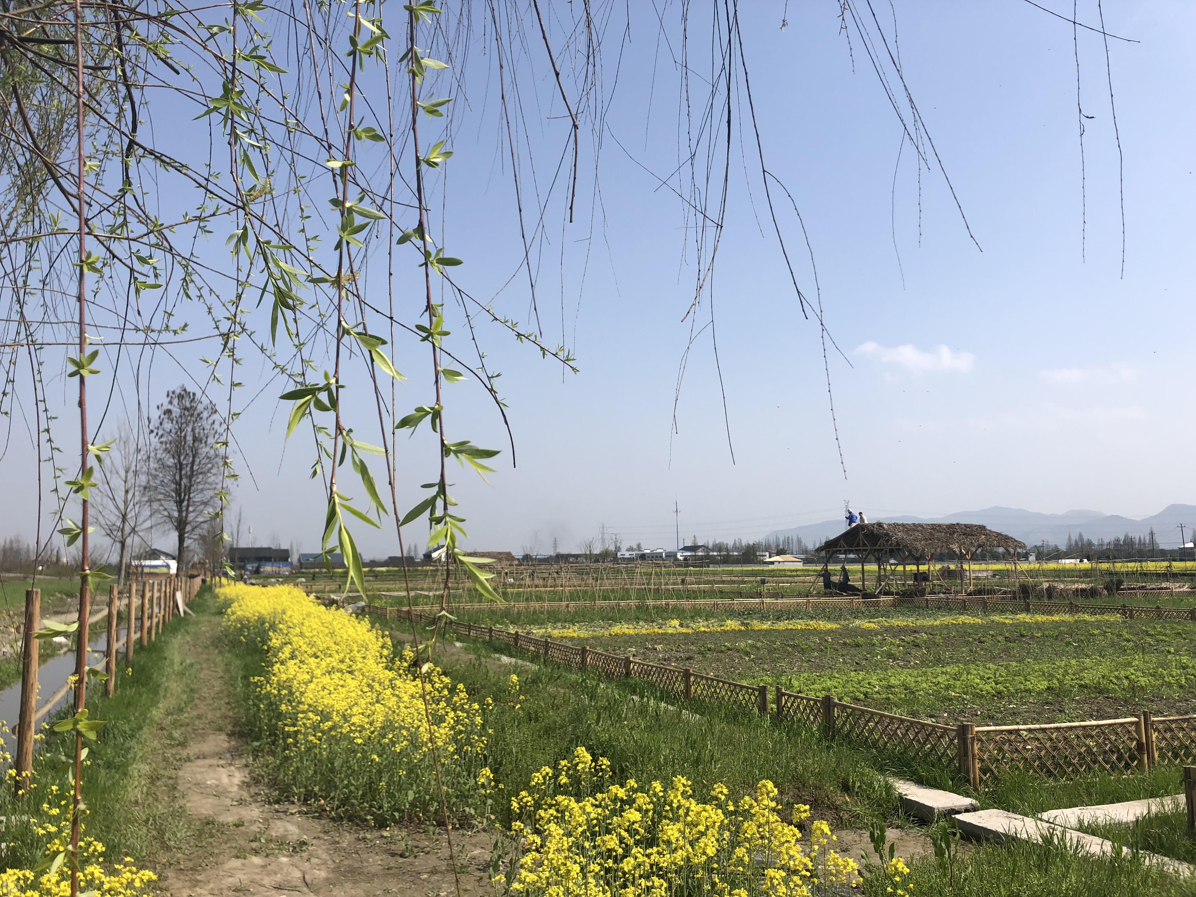 铜鉴湖最新消息,铜鉴湖最新消息，发展态势、影响及前景展望