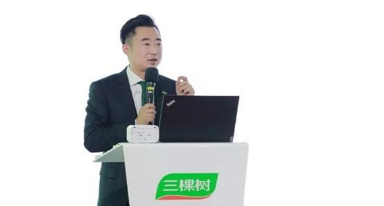 淮树最新动态，多维解读品牌发展，观点碰撞引领行业风向