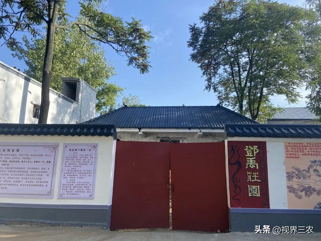 庄园小课堂最新答案揭秘，小巷深处的独特风味