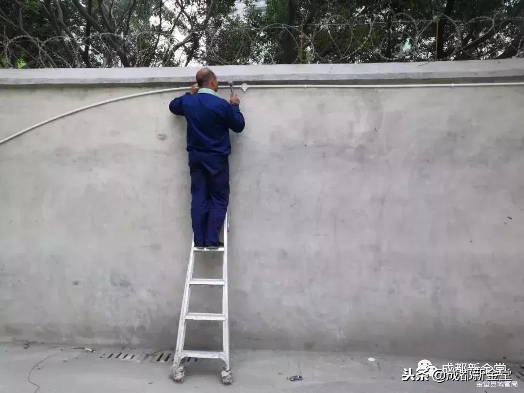 金堂最新发布的消息,金堂最新发布的消息，小巷深处的独特风味