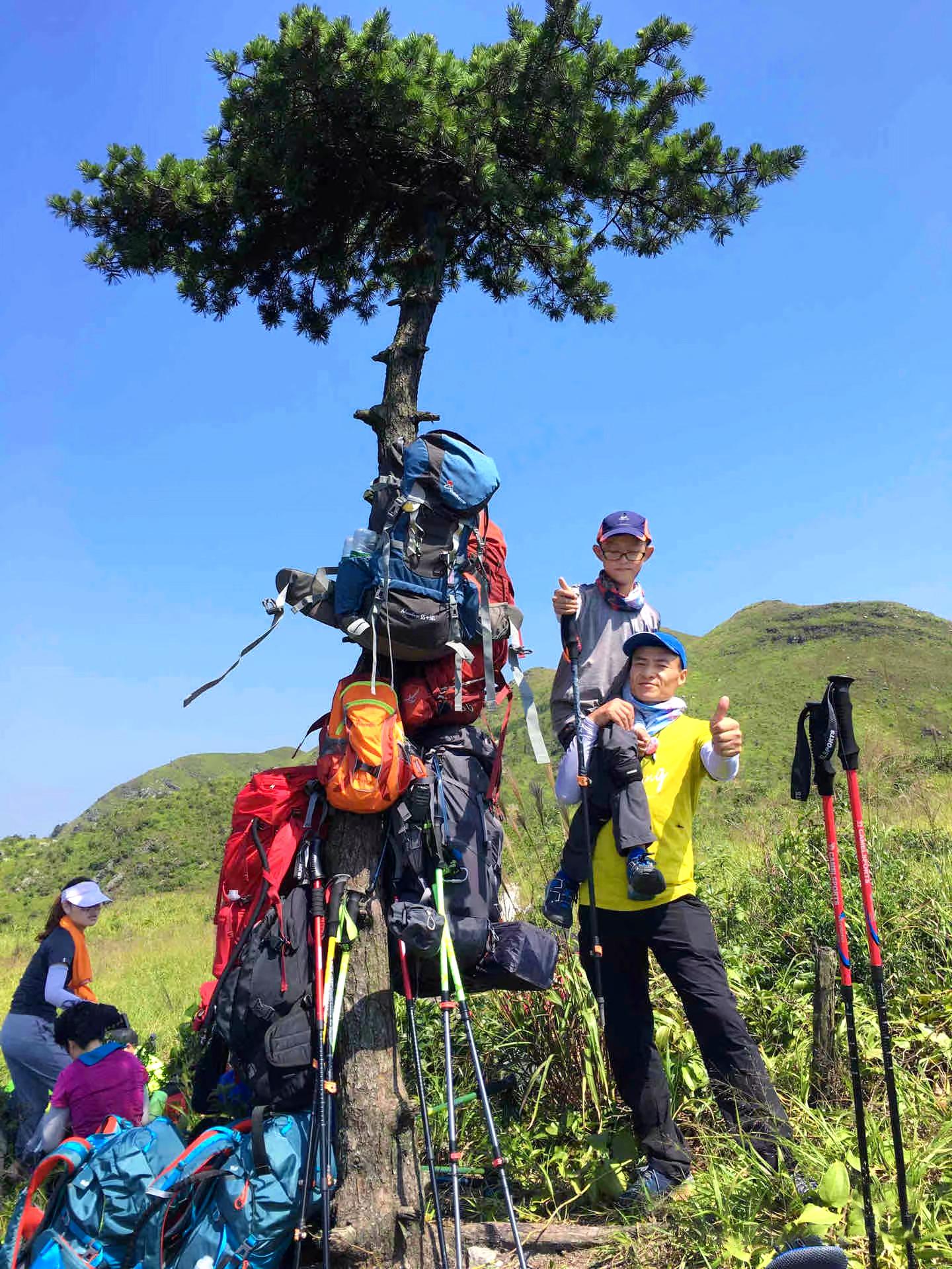 阳山最新招工,阳山最新招工，探索自然美景的治愈之旅