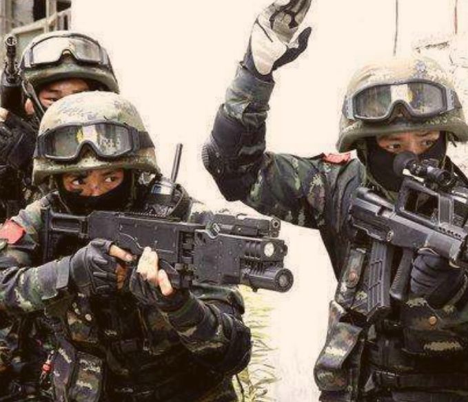 特种兵在都市最新现象解读与个人观点分享