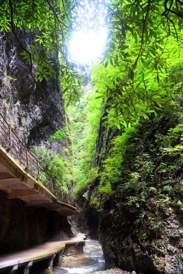 自然之旅的轻松探索，最新日文与内心宁静的追寻