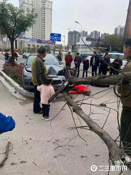 汉中车祸最新消息，自然之旅中的意外与内心的宁静与平和的寻找