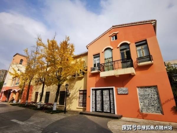恋舞最新版,恋舞最新版，深度解析与观点阐述