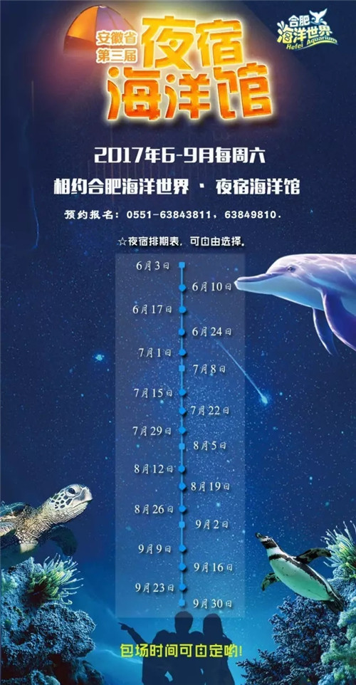 天兔最新动态，跃升知识海洋，自信成就奇妙旅程