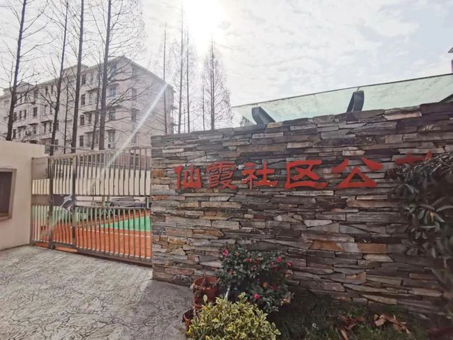 无棣巷弄深处的隐藏瑰宝最新消息揭秘