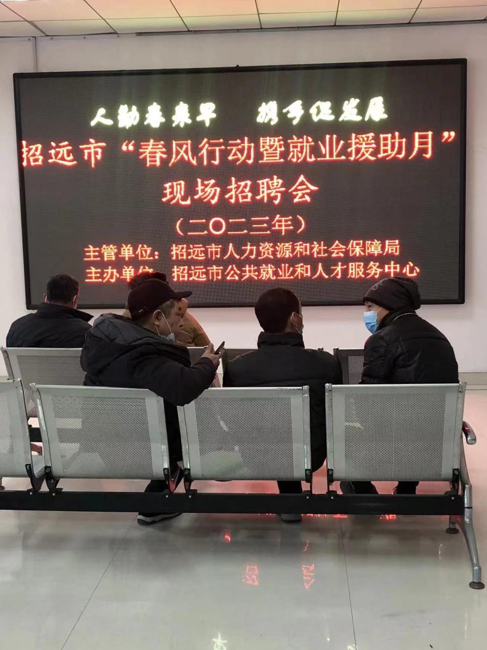 招远市最新招聘概览与观点论述