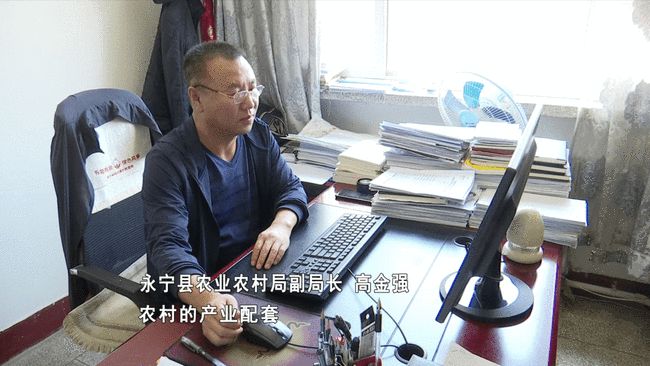 今天重庆新闻最新消息,重庆今日新闻聚焦，城市脉搏的新跃动