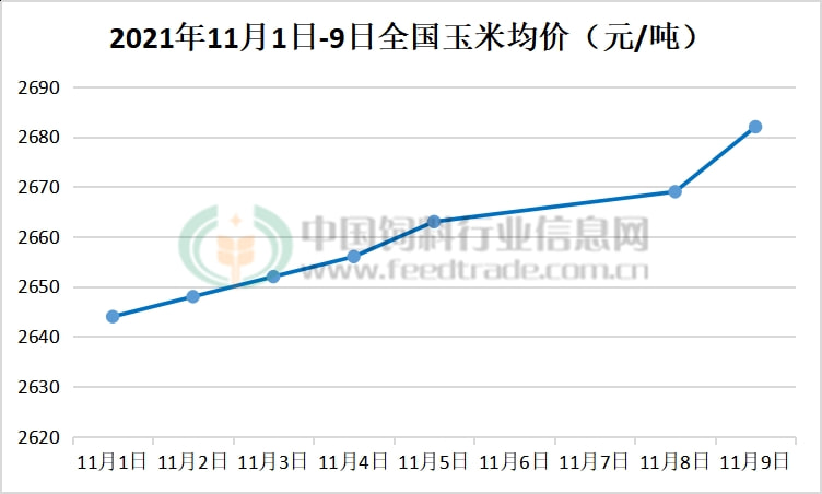 聊城玉米价格最新动态更新