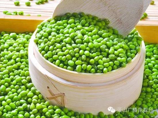 绿豆批发价格最新行情,绿豆批发价格的最新行情与我们的日常故事