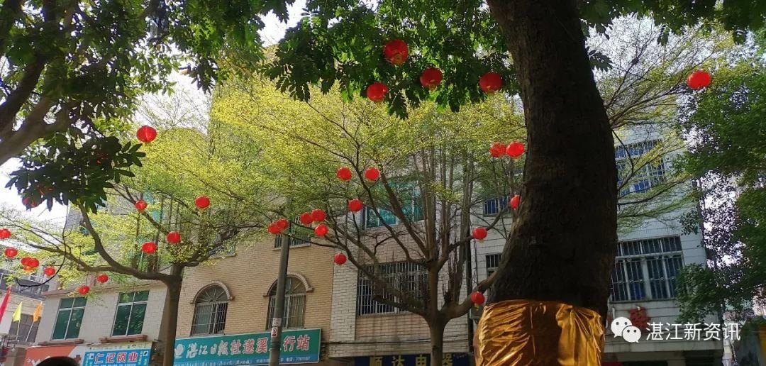 遂溪店铺出租最新，自然美景探索之旅启程