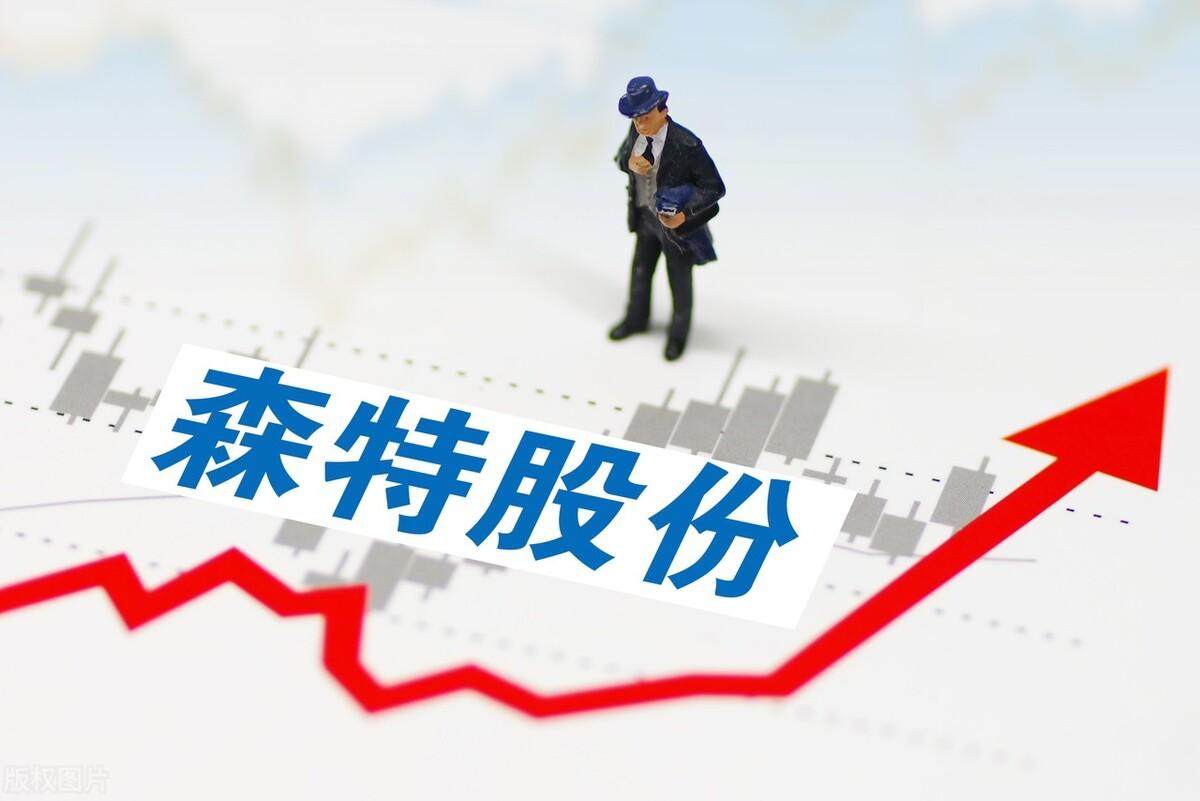 森特股份最新动态及消息更新📣📈