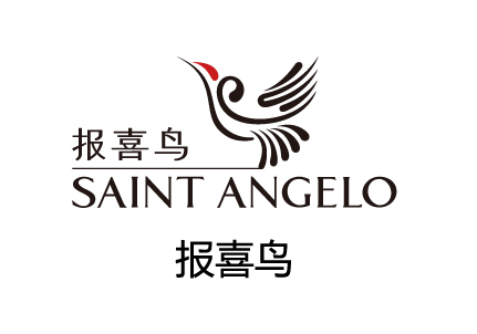 报喜鸟最新动态，技能学习指南发布