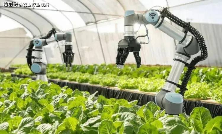 农场最新外挂，引领农业新时代的技术革新革新之道