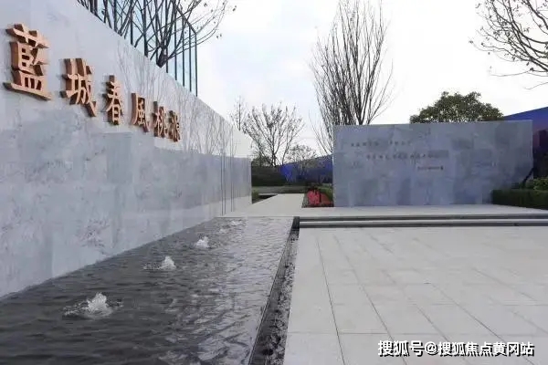 最新虐猫事件深度分析与观点阐述