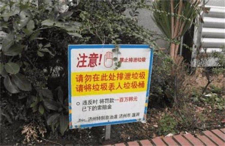 最新质量标语引领探索自然美景之旅，追寻内心平和与喜悦的旅程