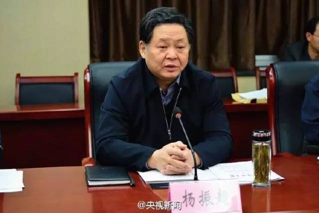 杨振超最新资讯，最新动态与报道✨📣
