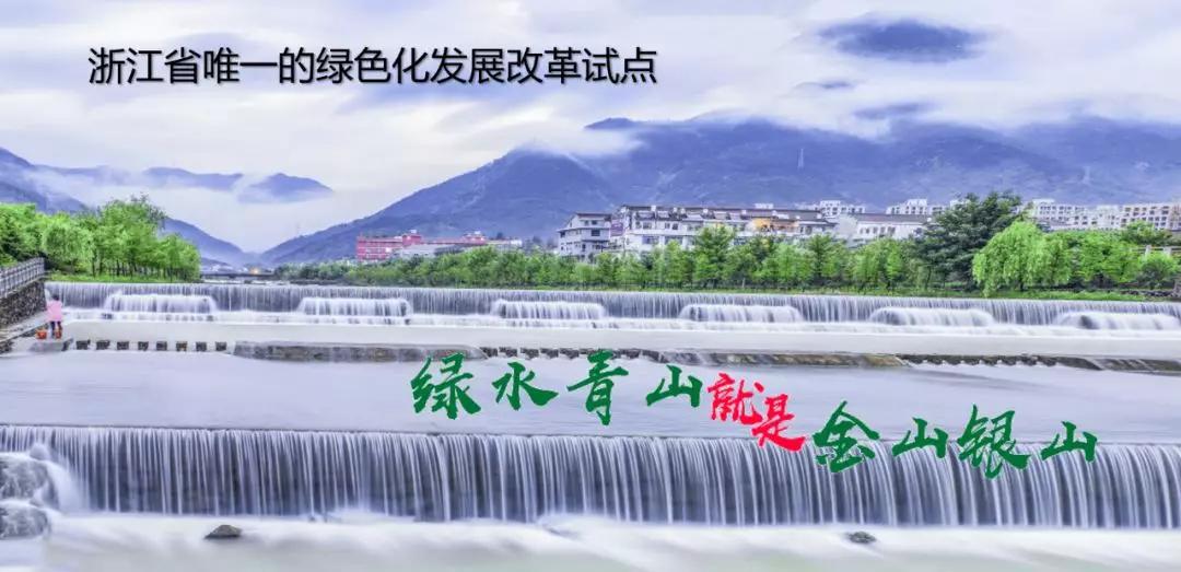五林风最新动态