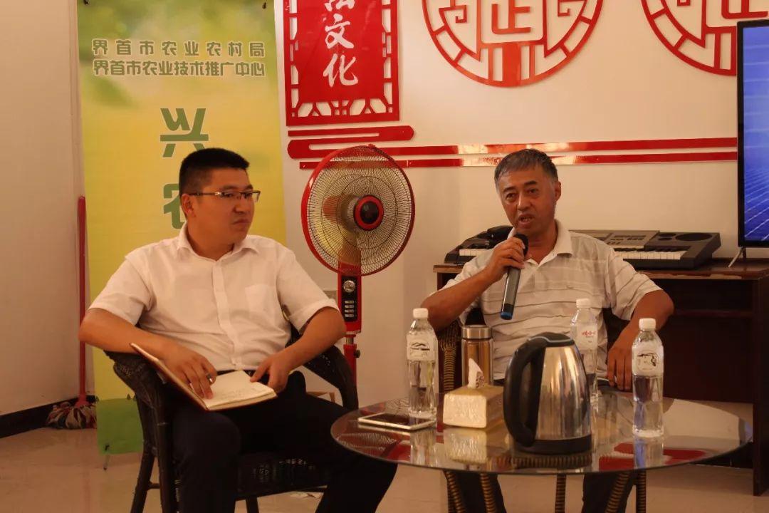 界首最新天气，阳光下的励志之旅启航