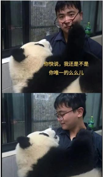 最新表情包盛宴，火热来袭，尽享欢乐时刻！