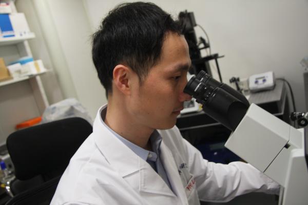 基因编辑新技术，开启生命科学未来之门的新钥匙