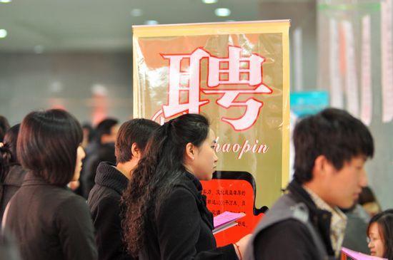 城市求职与友情温暖交织之旅
