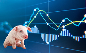 山东最新生猪价格指南，最新行情解析与预测