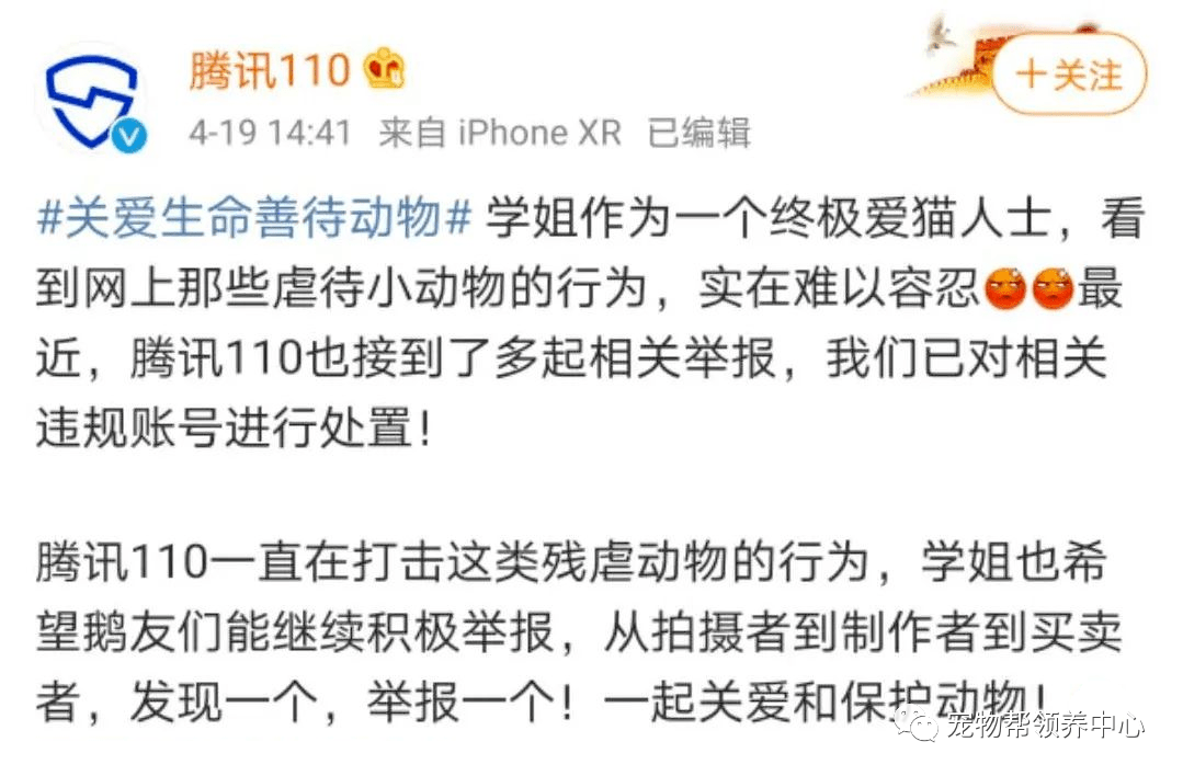 远离色情内容，追求健康娱乐——正规文化活动的魅力