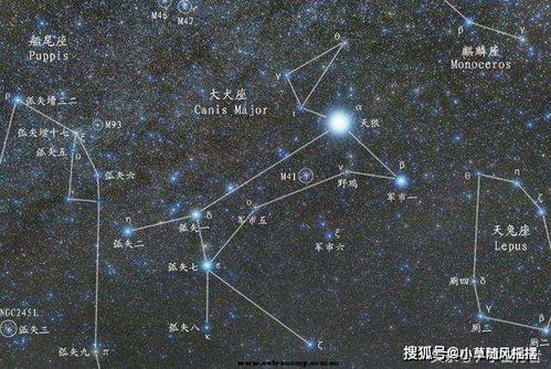 最新动态更新 第8页
