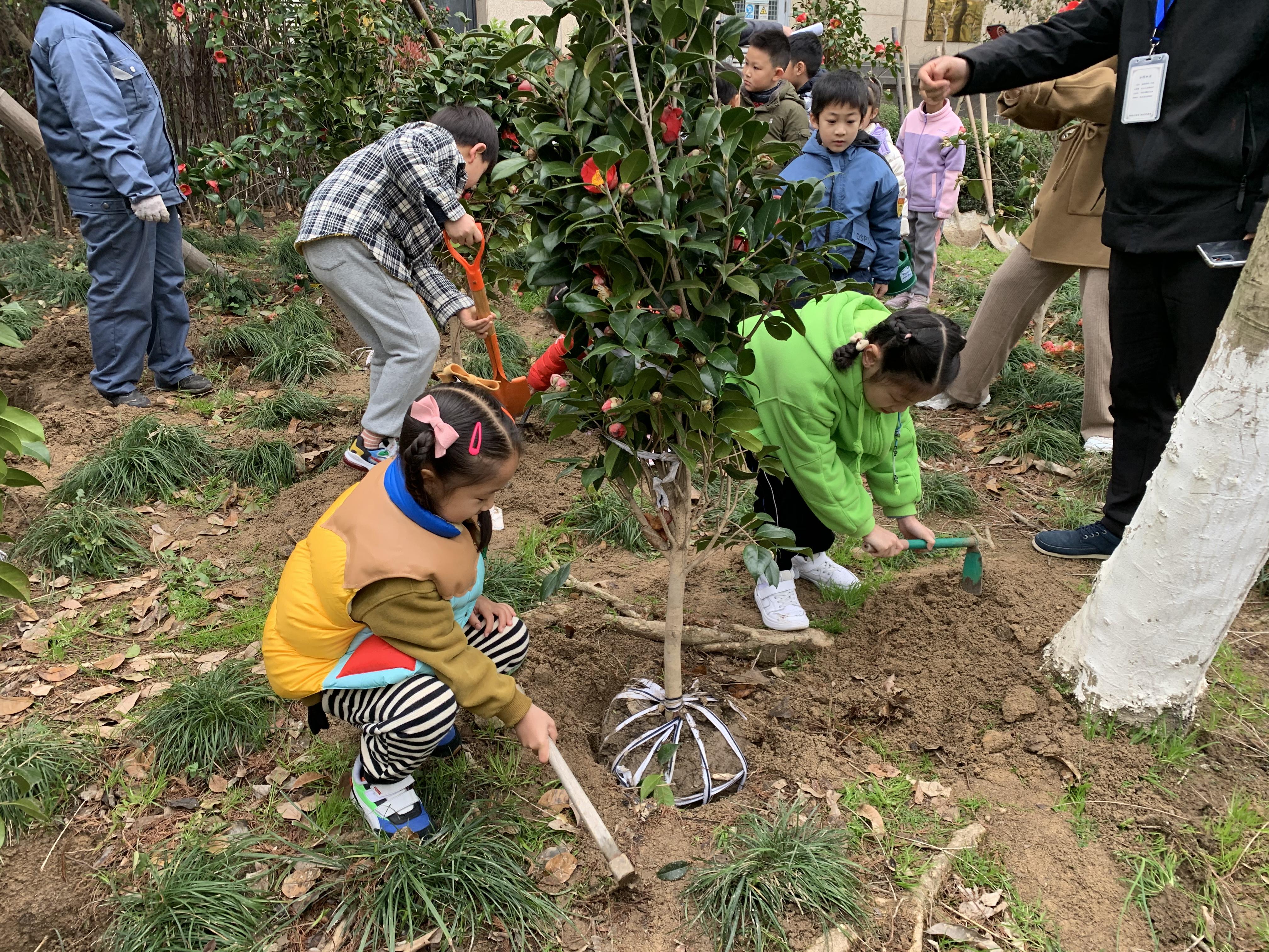 淮安长岛花园最新房价，时代印记与市场的脉动