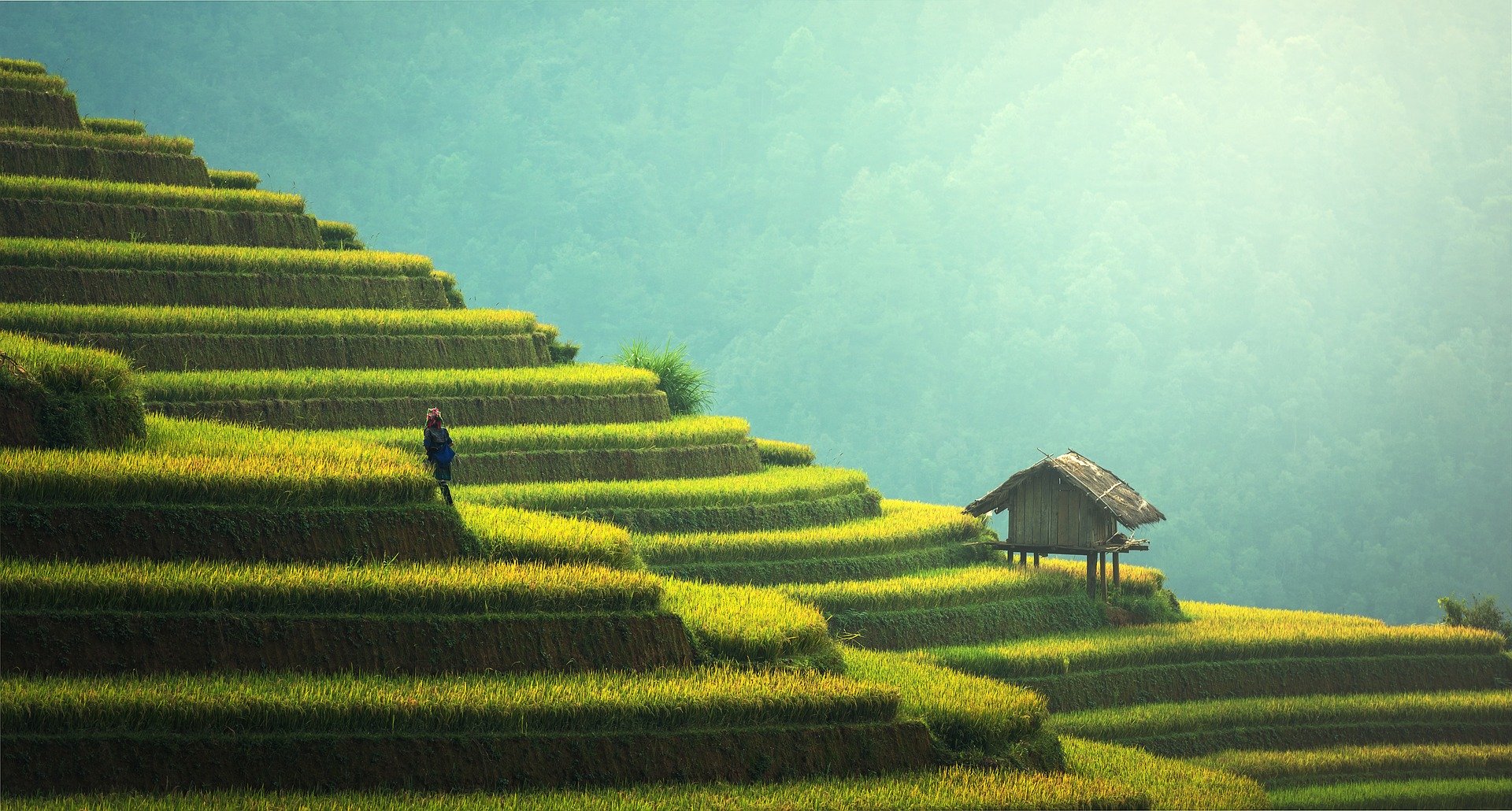 思茅最新土地出售信息，启程励志之旅，自信与成就感的源泉