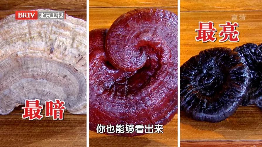 人参养灵芝最新章节，灵草之交的温馨日常