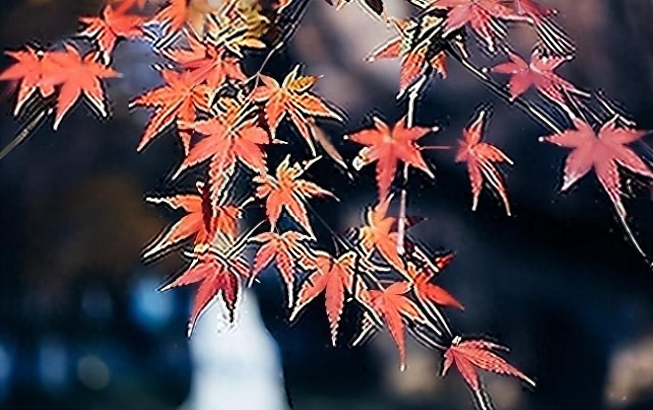 实时掌握天气动态
