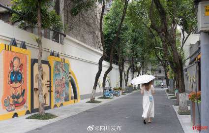 成都成华区最新动态揭秘，小巷深处的隐藏瑰宝