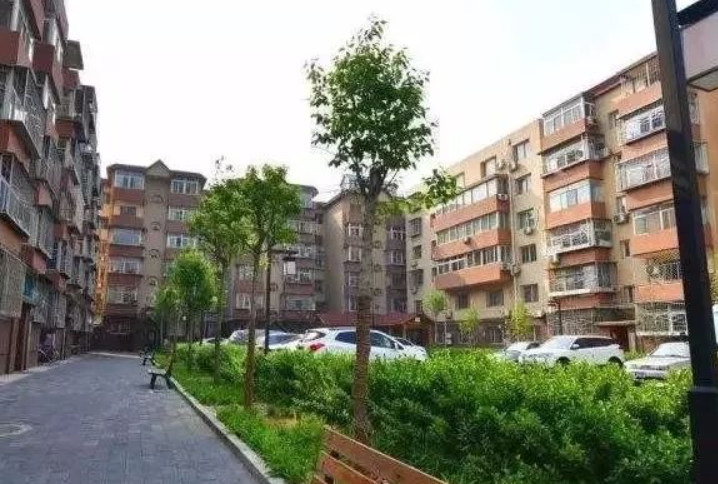 永年富华小区最新动态，活力变化与学习的力量展现新面貌