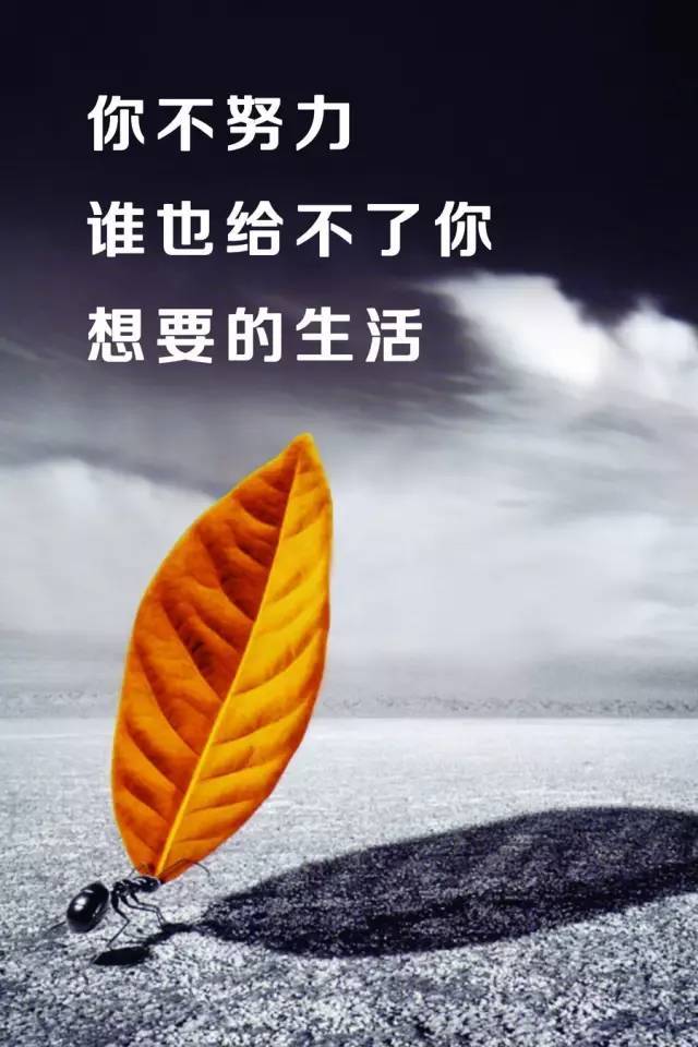励志语句，全新启程，迎接美好未来！