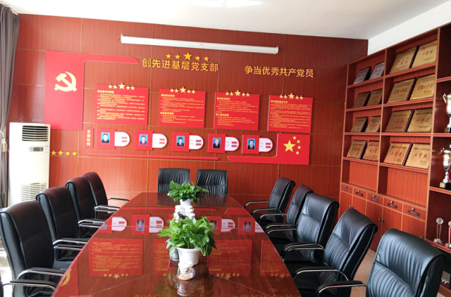 最新党建特色亮点工作闪耀新时代光芒✨