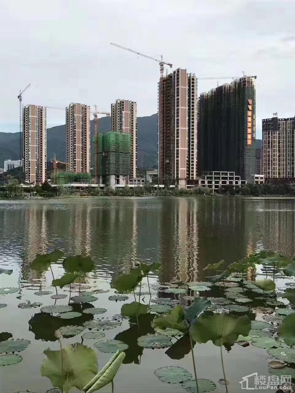 市场趋势与个人决策参考