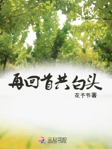 何以共白头最新章节更新速递