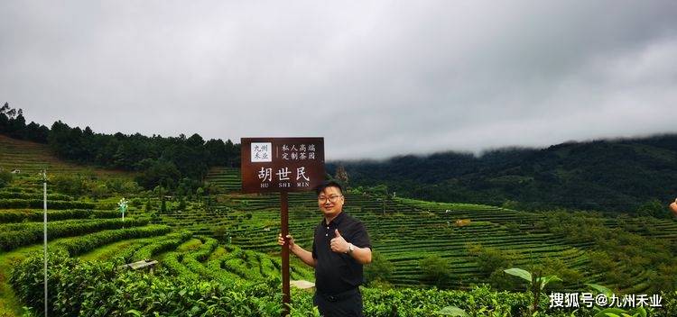 科技重塑绿色未来，智能茶园规划最新动态与管理体验