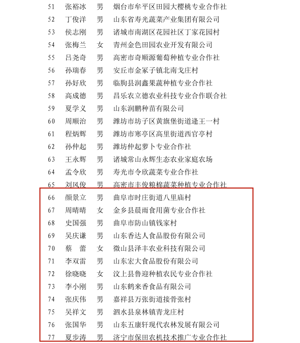 大仙农最新章节列表获取指南，步骤详解与最新更新动态