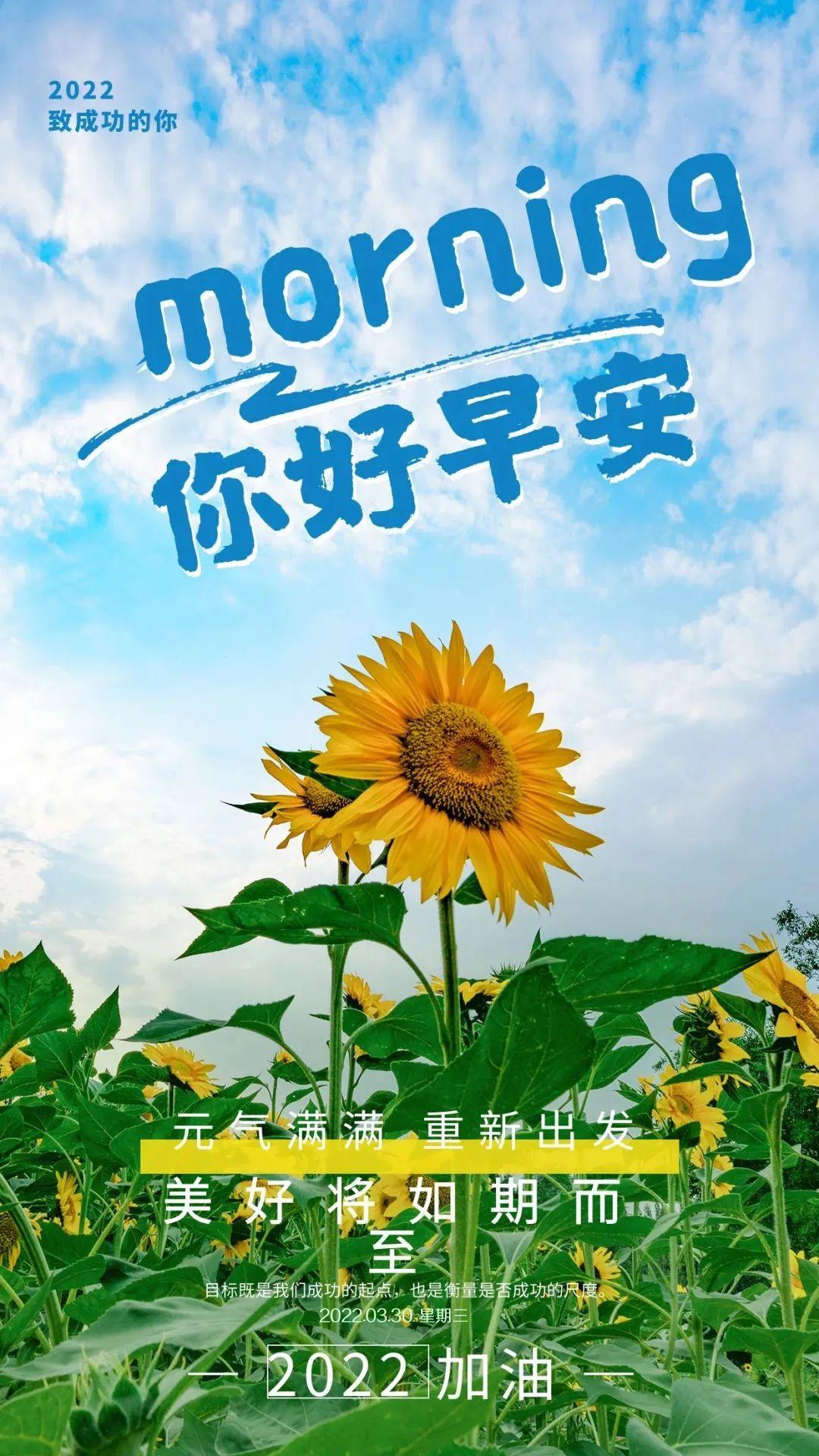 最新奇迹单机,最新奇迹单机，探索变化的力量，自信与成就感的诞生之地