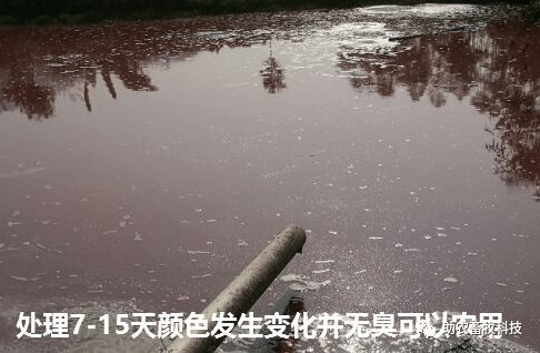 最新发酵技术